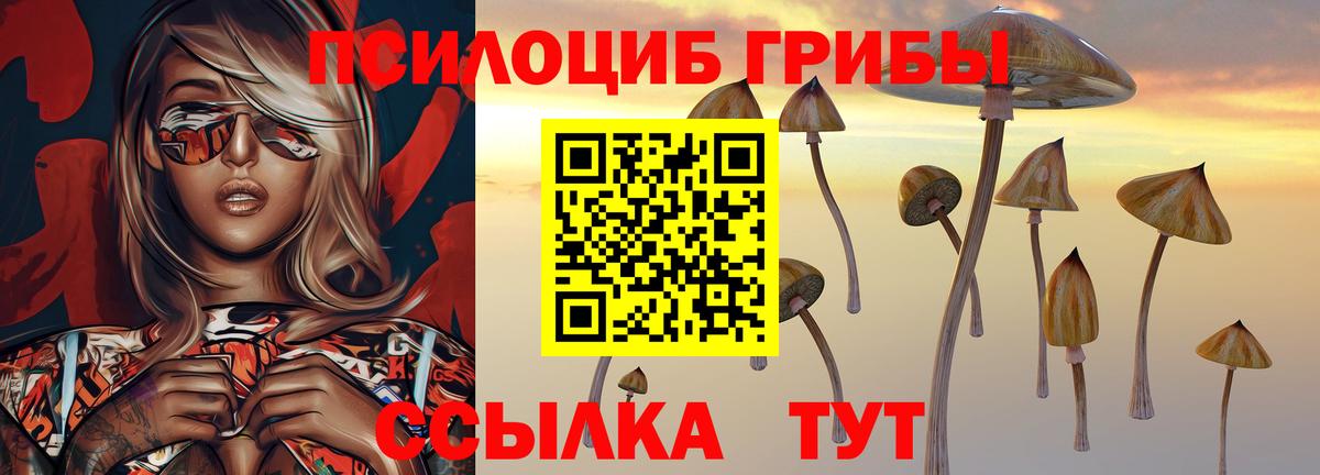 Галлюциногенные грибы Magic Shrooms Туапсе